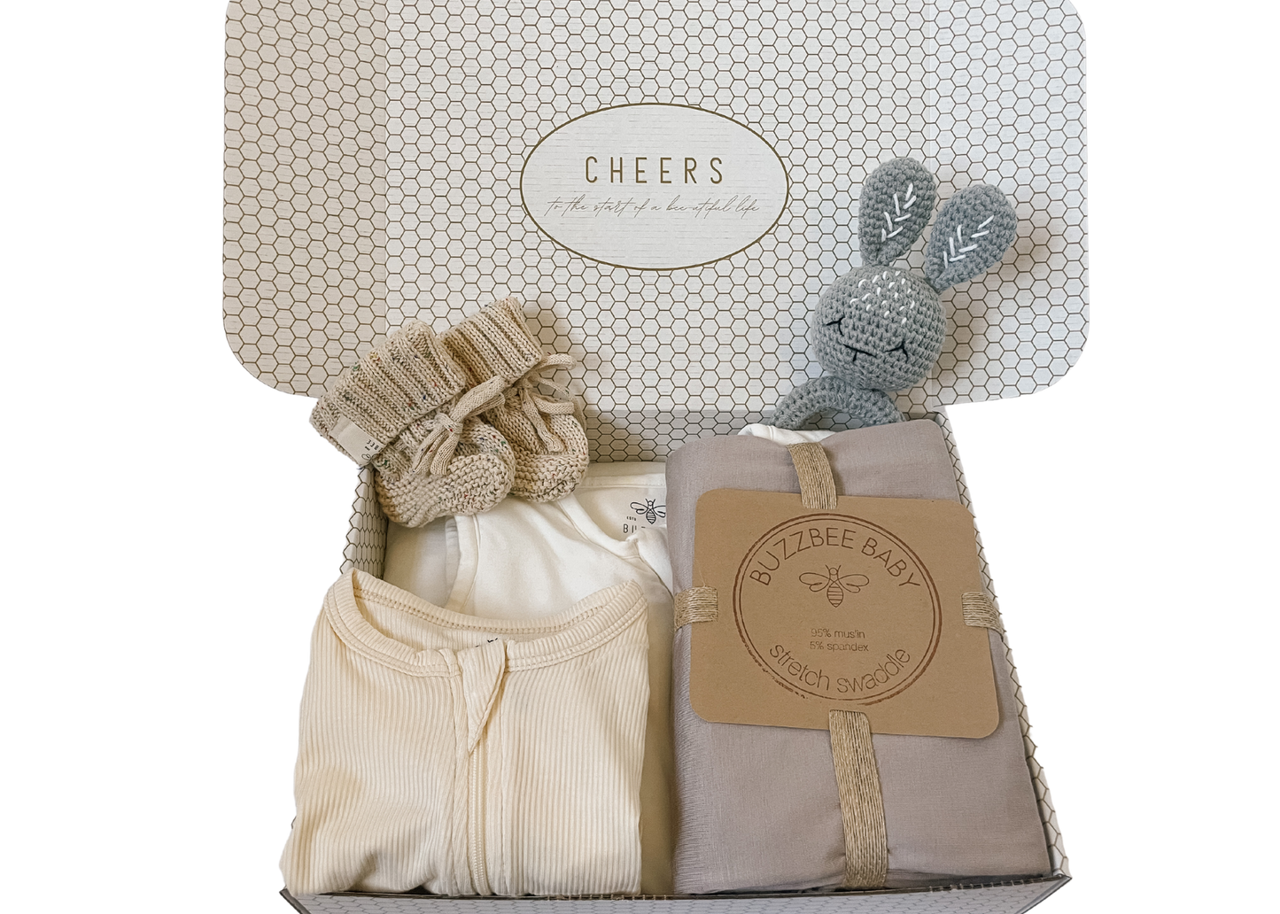 The Buzzbee Baby Bundler Box - Earth