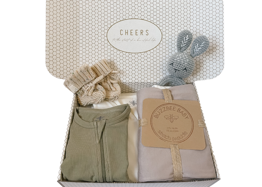The Buzzbee Baby Bundler Box - Earth