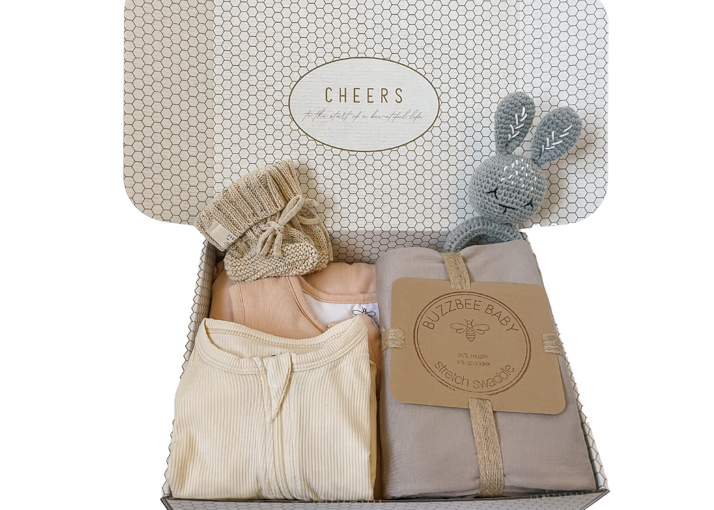 The Buzzbee Baby Bundler Box - Earth